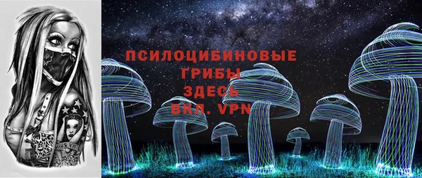 не бодяженный Арсеньев